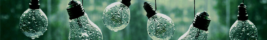 BULBS & ACCESSORIES