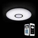 Smart Ceiling Lights