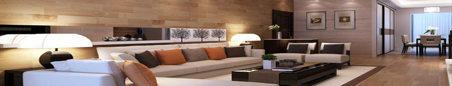 Ceiling Lights