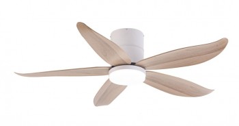 Fanco Fan