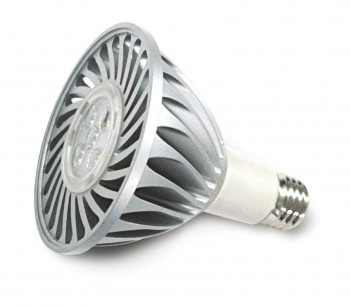 LED Bulb Par30 (13W)