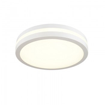 26W LED Ceiling Light