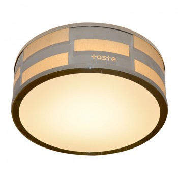LED Ceiling Light (Last Piece)