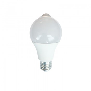 Infrared Sensor Bulb 