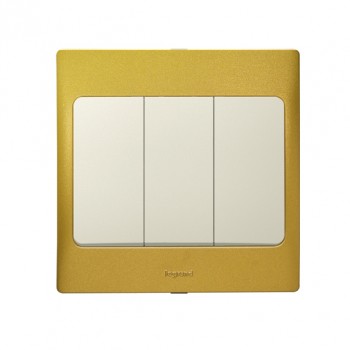 Legrand Switches 1 Way