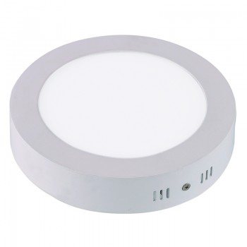  12W LED Ceiling Light