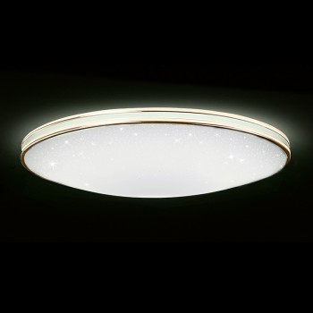 Smart LED Ceiling Lights (Star Sky Series) LAST PIECE