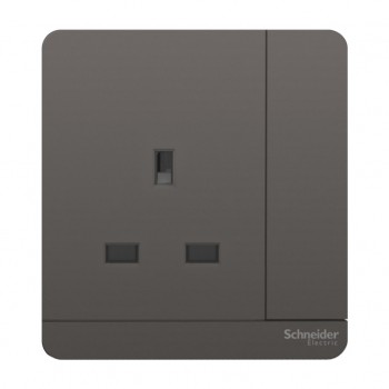 Schneider Socket 