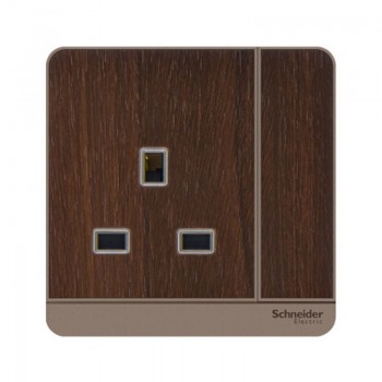 Schneider Socket