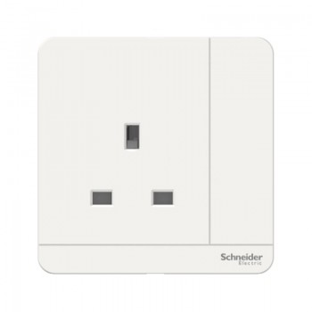 Schneider Socket 