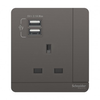 Schneider Switched Socket with USB Charger