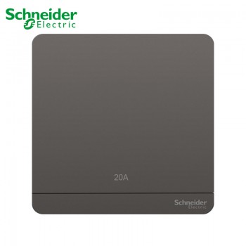 Schneider Switches Double Pole 20A