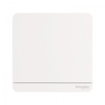 Schneider Switches 2 Way (LED)