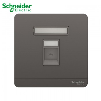Schneider Data Socket