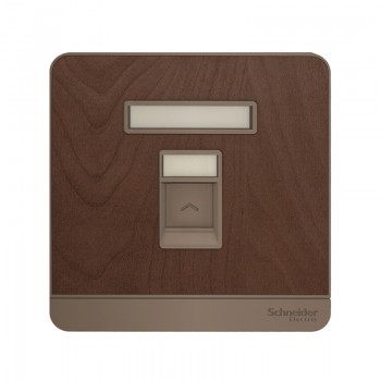 Schneider Data Socket
