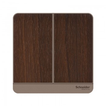Schneider Switches 2 Way
