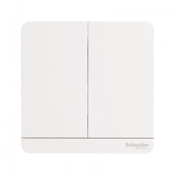 Schneider Switches 2 Way (LED)