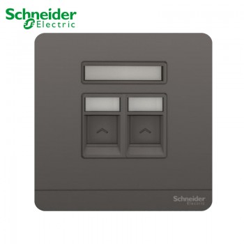 Schneider Data Socket