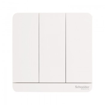 Schneider Switches 2 Way