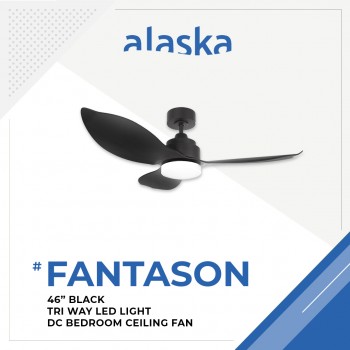 Alaska Fan