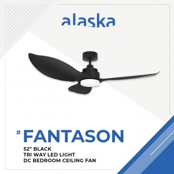 Alaska Fan