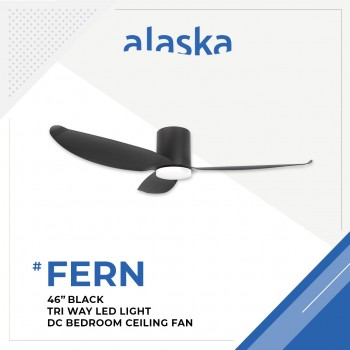 Alaska Fan