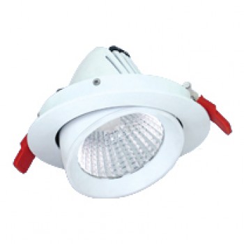 15W Tilt Scoop Light 