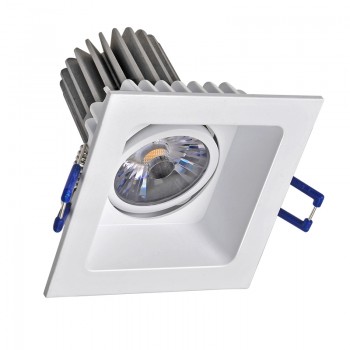 8W Tilt Down Light  (Dimmable)