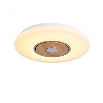 LED Smart Wooden Ceiling Light