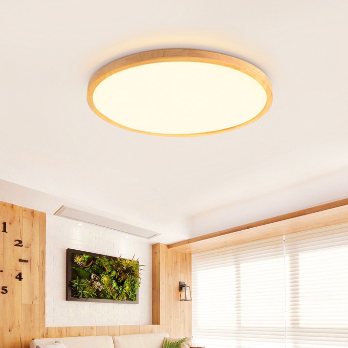Window Ceiling Light Ceiling Light