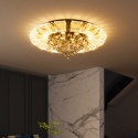 Smart LED Ceiling Light