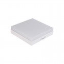 LED Ceiling Light