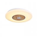 LED Smart Wooden Ceiling Light