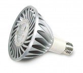 LED Bulb Par30 (13W)