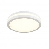 26W LED Ceiling Light