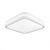 30W LED Smart Ceiling Light