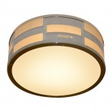 LED Ceiling Light (Last Piece)