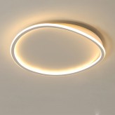 Smart LED Ceiling Light