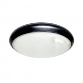 12W Water-proof Ceiling Light