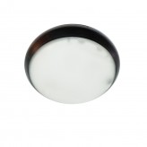 24W Water-proof Ceiling Light