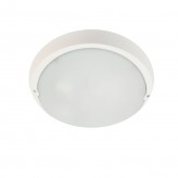 24W Water-proof Ceiling Light
