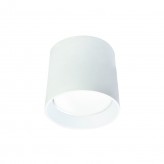 Surface Mount Down Light