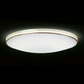 Smart LED Ceiling Lights (Star Sky Series) LAST PIECE