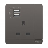 Schneider Switched Socket with USB Charger