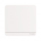 Schneider Switches 2 Way (LED)
