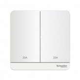 Schneider Switches Double Pole 20A