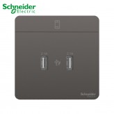 Schneider USB Socket