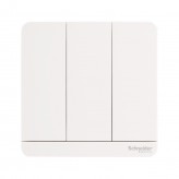 Schneider Switches 2 Way (LED)