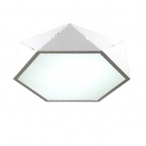 36W Ceiling Light