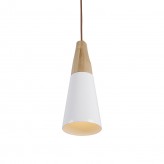  Contemporary Wooden Pendant